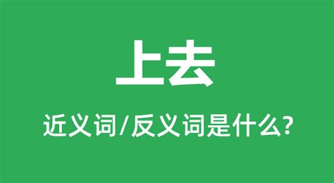 a上去 意思|他/她A了上去是什么意思